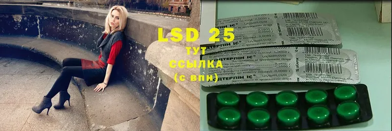 где купить наркотик  Новопавловск  Лсд 25 экстази ecstasy 